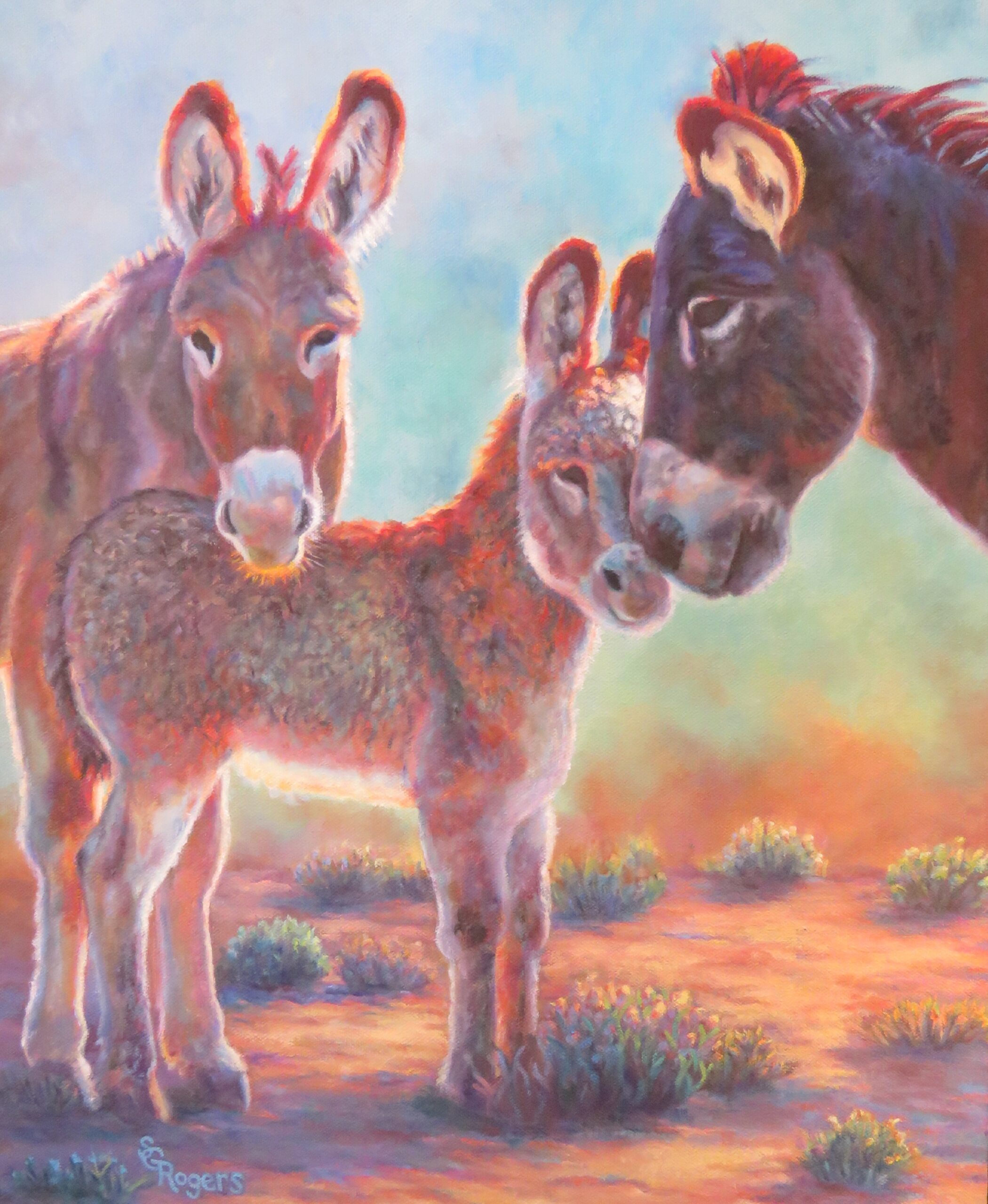 Big Bend Wild Burros